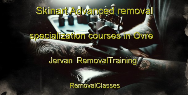 Skinart Advanced removal specialization courses in Ovre Jervan | RemovalTraining | RemovalClasses | SkinartTraining-Norway