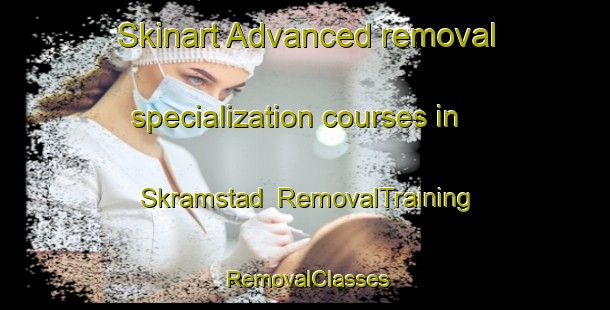 Skinart Advanced removal specialization courses in Skramstad | RemovalTraining | RemovalClasses | SkinartTraining-Norway
