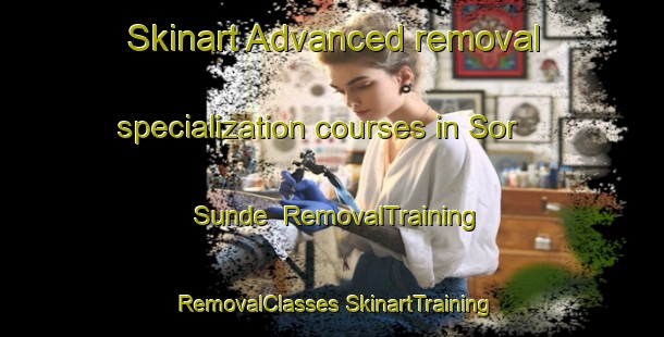 Skinart Advanced removal specialization courses in Sor Sunde | #RemovalTraining #RemovalClasses #SkinartTraining-Norway