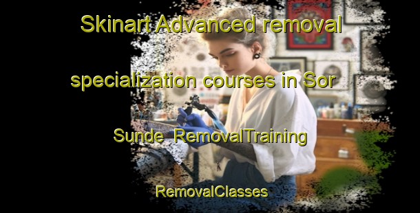 Skinart Advanced removal specialization courses in Sor Sunde | RemovalTraining | RemovalClasses | SkinartTraining-Norway