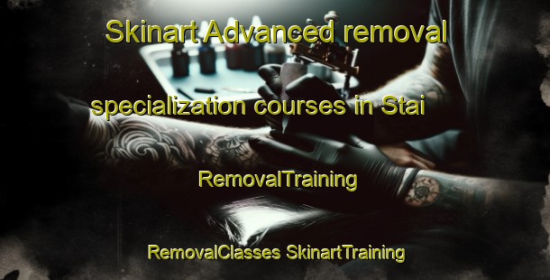 Skinart Advanced removal specialization courses in Stai | #RemovalTraining #RemovalClasses #SkinartTraining-Norway