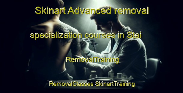 Skinart Advanced removal specialization courses in Stai | #RemovalTraining #RemovalClasses #SkinartTraining-Norway