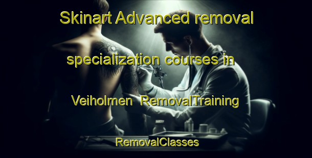Skinart Advanced removal specialization courses in Veiholmen | RemovalTraining | RemovalClasses | SkinartTraining-Norway