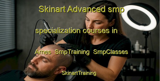 Skinart Advanced smp specialization courses in Arnes | SmpTraining | SmpClasses | SkinartTraining-Norway