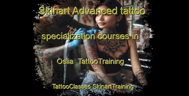 Skinart Advanced tattoo specialization courses in Oslia | #TattooTraining #TattooClasses #SkinartTraining-Norway