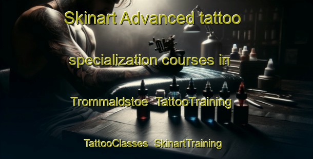 Skinart Advanced tattoo specialization courses in Trommaldstoe | TattooTraining | TattooClasses | SkinartTraining-Norway