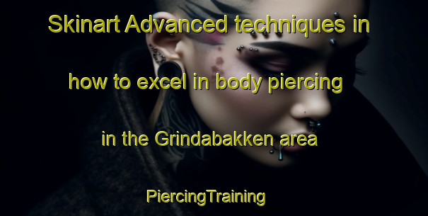 Skinart Advanced techniques in how to excel in body piercing in the Grindabakken area | PiercingTraining | PiercingClasses | SkinartTraining-Norway