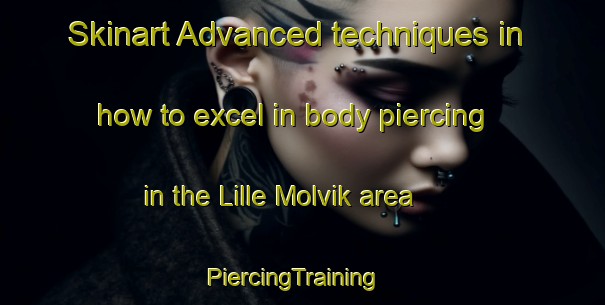 Skinart Advanced techniques in how to excel in body piercing in the Lille Molvik area | PiercingTraining | PiercingClasses | SkinartTraining-Norway