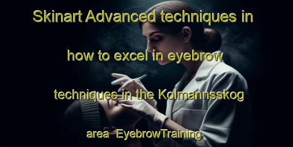 Skinart Advanced techniques in how to excel in eyebrow techniques in the Kolmannsskog area | EyebrowTraining | EyebrowClasses | SkinartTraining-Norway