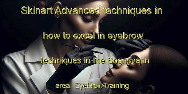 Skinart Advanced techniques in how to excel in eyebrow techniques in the Sognsvann area | EyebrowTraining | EyebrowClasses | SkinartTraining-Norway