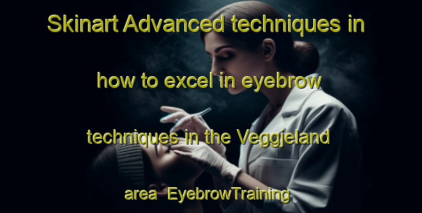 Skinart Advanced techniques in how to excel in eyebrow techniques in the Veggjeland area | EyebrowTraining | EyebrowClasses | SkinartTraining-Norway