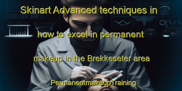 Skinart Advanced techniques in how to excel in permanent makeup in the Brekkeseter area | PermanentmakeupTraining | PermanentmakeupClasses | SkinartTraining-Norway