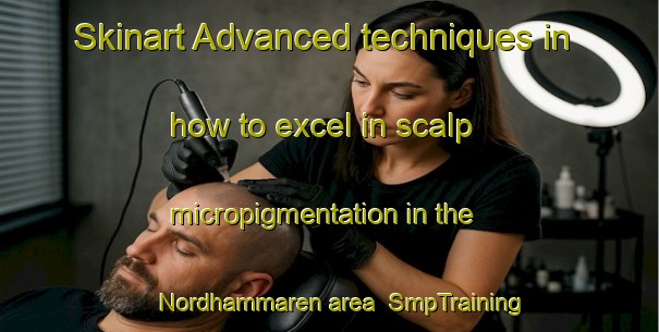Skinart Advanced techniques in how to excel in scalp micropigmentation in the Nordhammaren area | SmpTraining | SmpClasses | SkinartTraining-Norway