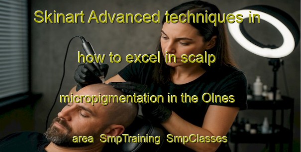Skinart Advanced techniques in how to excel in scalp micropigmentation in the Olnes area | SmpTraining | SmpClasses | SkinartTraining-Norway
