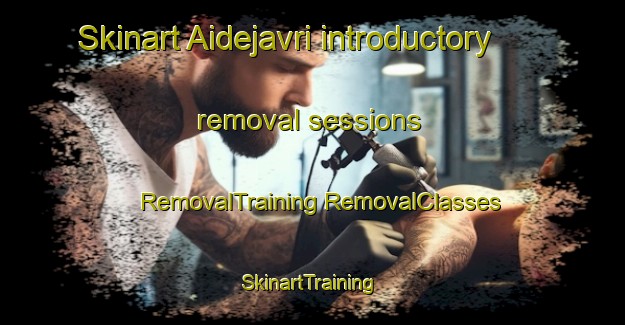 Skinart Aidejavri introductory removal sessions | #RemovalTraining #RemovalClasses #SkinartTraining-Norway