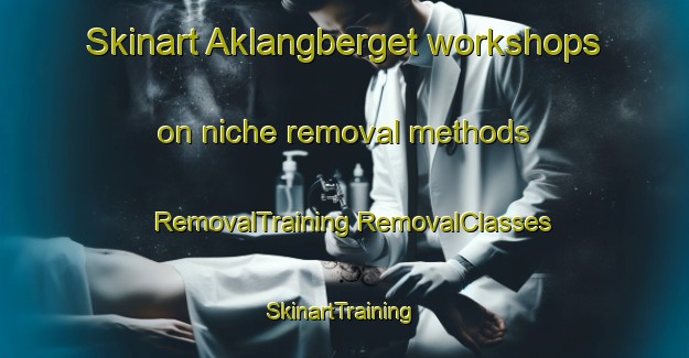 Skinart Aklangberget workshops on niche removal methods | #RemovalTraining #RemovalClasses #SkinartTraining-Norway