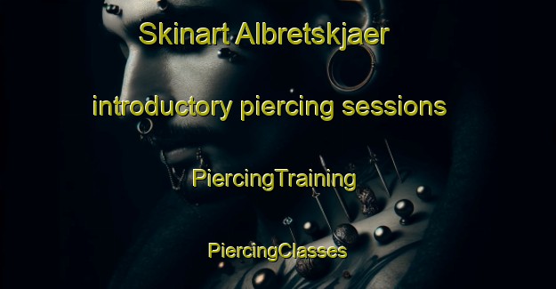 Skinart Albretskjaer introductory piercing sessions | #PiercingTraining #PiercingClasses #SkinartTraining-Norway