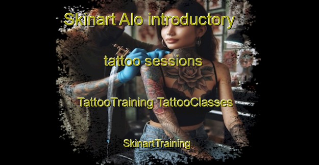 Skinart Alo introductory tattoo sessions | #TattooTraining #TattooClasses #SkinartTraining-Norway