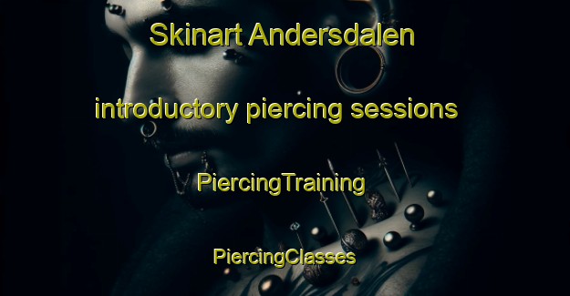 Skinart Andersdalen introductory piercing sessions | #PiercingTraining #PiercingClasses #SkinartTraining-Norway