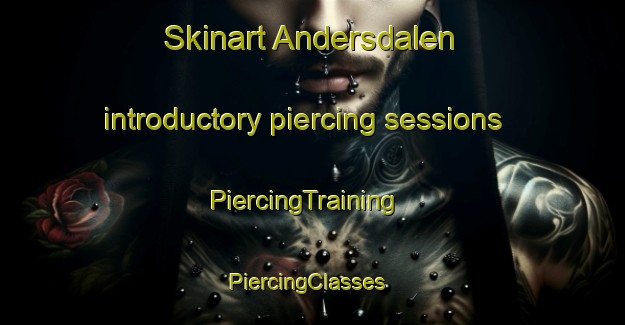 Skinart Andersdalen introductory piercing sessions | PiercingTraining | PiercingClasses | SkinartTraining-Norway