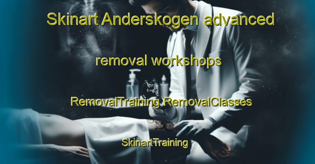 Skinart Anderskogen advanced removal workshops | #RemovalTraining #RemovalClasses #SkinartTraining-Norway