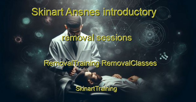 Skinart Ansnes introductory removal sessions | #RemovalTraining #RemovalClasses #SkinartTraining-Norway