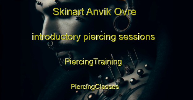 Skinart Anvik Ovre introductory piercing sessions | PiercingTraining | PiercingClasses | SkinartTraining-Norway