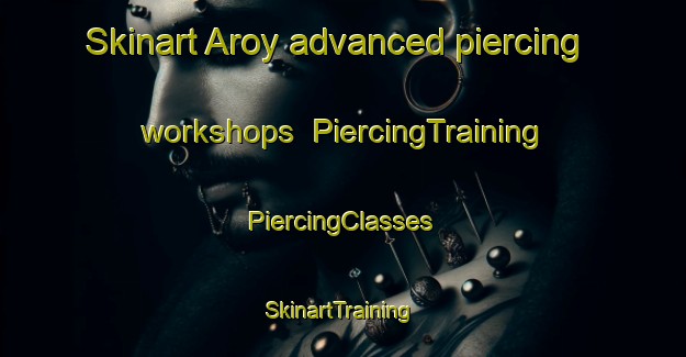 Skinart Aroy advanced piercing workshops | #PiercingTraining #PiercingClasses #SkinartTraining-Norway