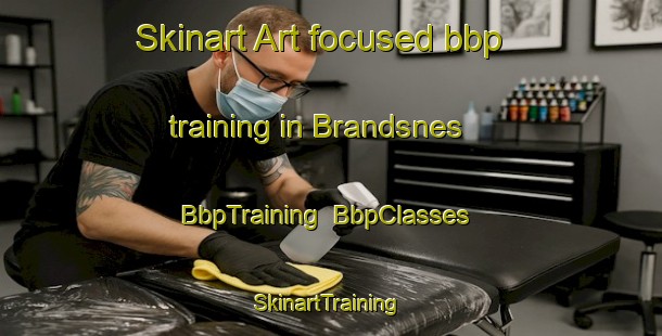 Skinart Art-focused bbp training in Brandsnes | BbpTraining | BbpClasses | SkinartTraining-Norway
