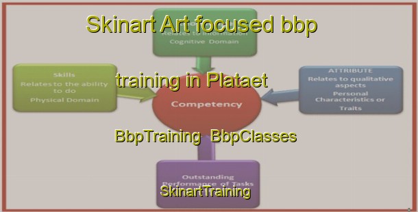 Skinart Art-focused bbp training in Plataet | BbpTraining | BbpClasses | SkinartTraining-Norway