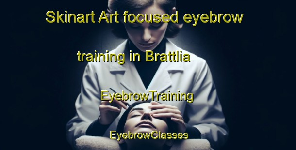 Skinart Art-focused eyebrow training in Brattlia | EyebrowTraining | EyebrowClasses | SkinartTraining-Norway