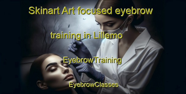 Skinart Art-focused eyebrow training in Lillemo | EyebrowTraining | EyebrowClasses | SkinartTraining-Norway