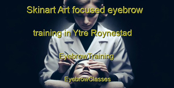 Skinart Art-focused eyebrow training in Ytre Roynestad | EyebrowTraining | EyebrowClasses | SkinartTraining-Norway