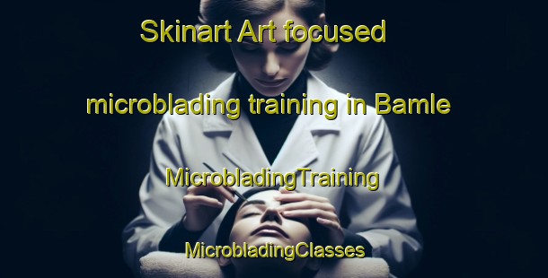 Skinart Art-focused microblading training in Bamle | #MicrobladingTraining #MicrobladingClasses #SkinartTraining-Norway