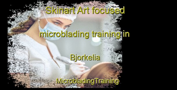 Skinart Art-focused microblading training in Bjorkelia | #MicrobladingTraining #MicrobladingClasses #SkinartTraining-Norway