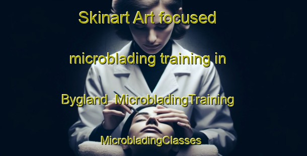 Skinart Art-focused microblading training in Bygland | MicrobladingTraining | MicrobladingClasses | SkinartTraining-Norway