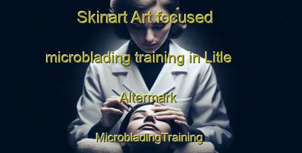 Skinart Art-focused microblading training in Litle Altermark | #MicrobladingTraining #MicrobladingClasses #SkinartTraining-Norway