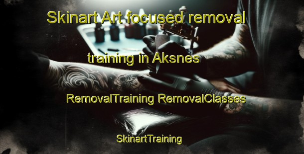 Skinart Art-focused removal training in Aksnes | #RemovalTraining #RemovalClasses #SkinartTraining-Norway