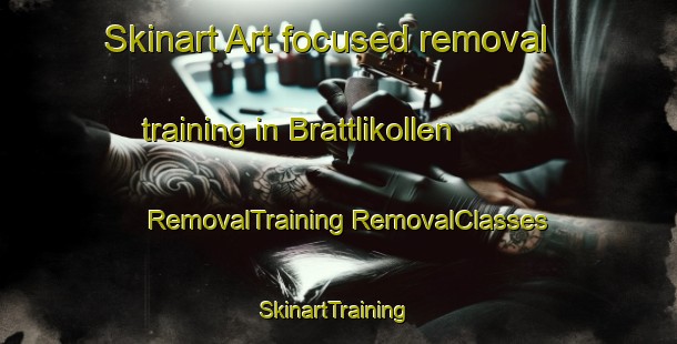 Skinart Art-focused removal training in Brattlikollen | #RemovalTraining #RemovalClasses #SkinartTraining-Norway