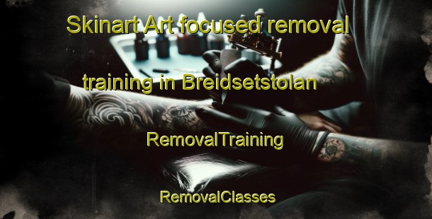 Skinart Art-focused removal training in Breidsetstolan | RemovalTraining | RemovalClasses | SkinartTraining-Norway