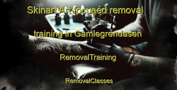 Skinart Art-focused removal training in Gamlegrendasen | RemovalTraining | RemovalClasses | SkinartTraining-Norway