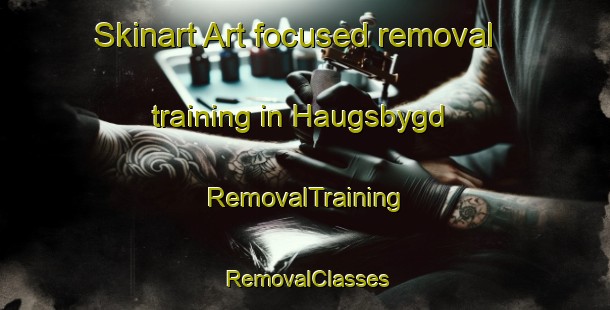 Skinart Art-focused removal training in Haugsbygd | RemovalTraining | RemovalClasses | SkinartTraining-Norway
