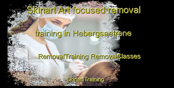 Skinart Art-focused removal training in Hebergsaetrene | #RemovalTraining #RemovalClasses #SkinartTraining-Norway