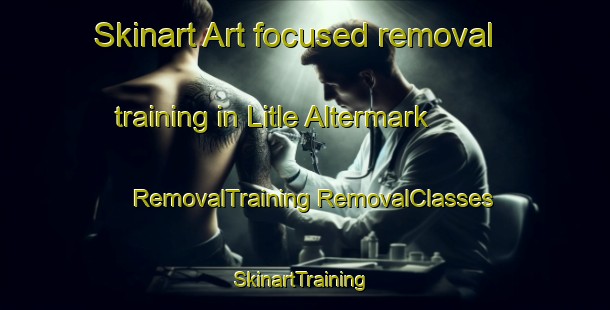 Skinart Art-focused removal training in Litle Altermark | #RemovalTraining #RemovalClasses #SkinartTraining-Norway