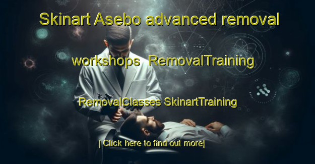 Skinart Asebo advanced removal workshops | #RemovalTraining #RemovalClasses #SkinartTraining-Norway