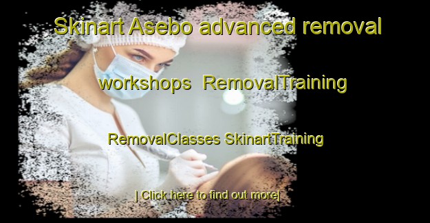 Skinart Asebo advanced removal workshops | #RemovalTraining #RemovalClasses #SkinartTraining-Norway