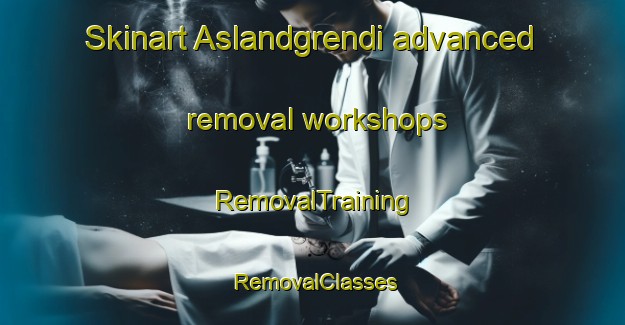 Skinart Aslandgrendi advanced removal workshops | RemovalTraining | RemovalClasses | SkinartTraining-Norway