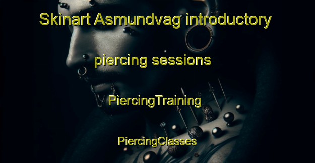 Skinart Asmundvag introductory piercing sessions | #PiercingTraining #PiercingClasses #SkinartTraining-Norway