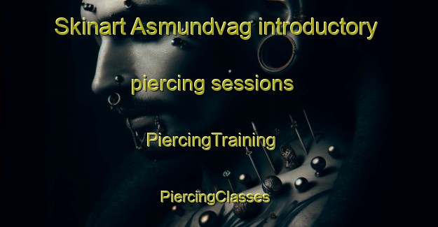 Skinart Asmundvag introductory piercing sessions | PiercingTraining | PiercingClasses | SkinartTraining-Norway