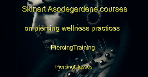 Skinart Asodegardene courses on piercing wellness practices | #PiercingTraining #PiercingClasses #SkinartTraining-Norway